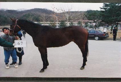 �Ƽ� ����