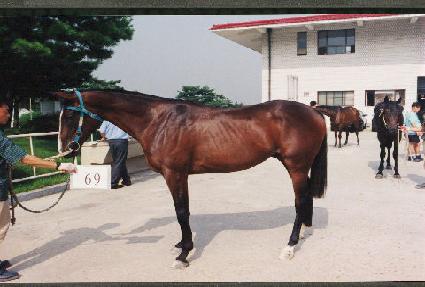 ������ ����