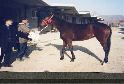 ��Ʋ�� ����