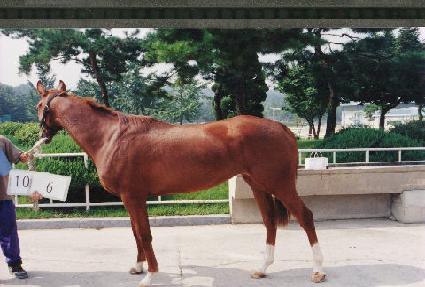 �븶�� ����