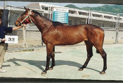 �츮�θ� ����