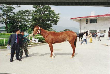 ����ħ ����