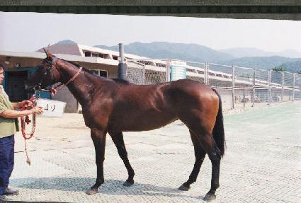 ������ ����