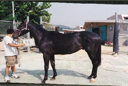 ��¯�ε� ����