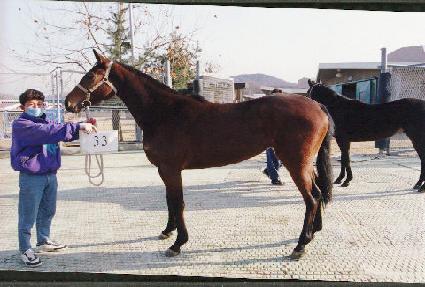 �ɷ¹��� ����