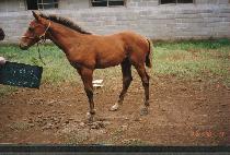 �ⷯ���ڸ� ����