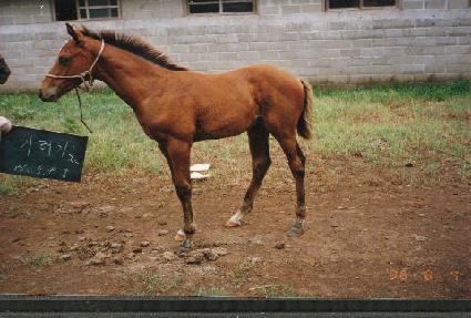 �ⷯ���ڸ� ����