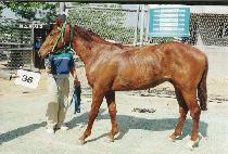 ū�� (K��EUNBAL) ����