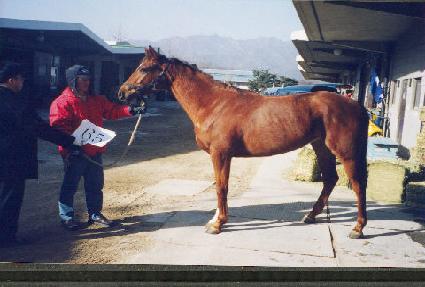 ���Ŀ� ����