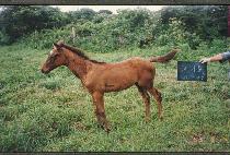 ū�Ÿ��ڸ� ����