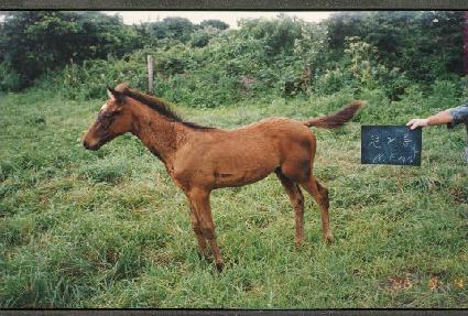 ū�Ÿ��ڸ� ����