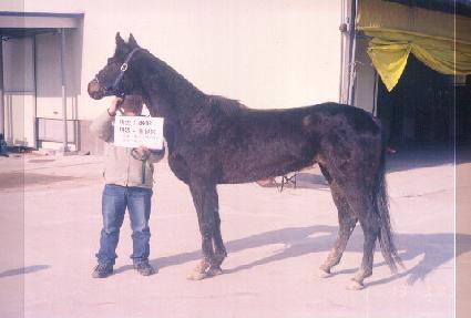 �ٴ��� ����