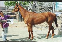 ������ (TAEJIJON) ����