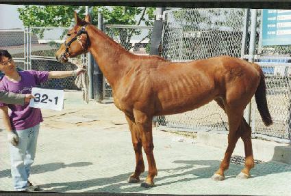 ������ ����