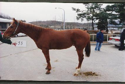 ��� ����