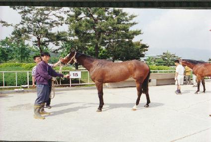 �Ѷ�Ư�� ����