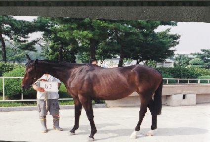 ��ȭ�� ����