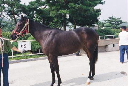 ����ȭ ����