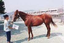 ������ (MANSEOKKKUN) ����