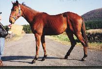 ��ô�� (KAECH��EOKSA) ����