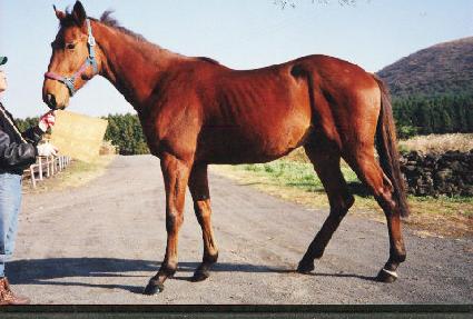 ��ô�� ����