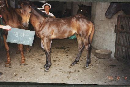 ������ڸ� ����