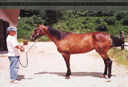 ���Ĺ��� ����