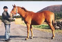 ���� (TTORI) ����