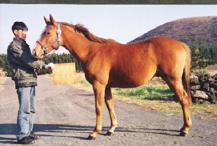 ���� ����