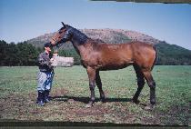 ���� (KICH��AN) ����