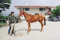 ���� (CHIN-GUN) ����