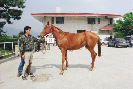 ���� ����