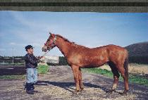 õ������ (CH��EONJIGAEBYEOK) ����