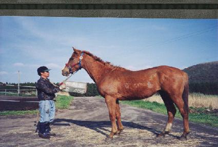 õ������ ����