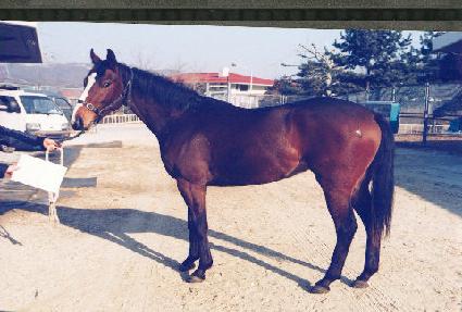 �������� ����