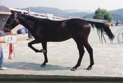 �ž��� ����