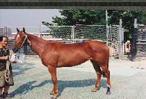 �ݱ��� (PAN-GUJEONG) ����