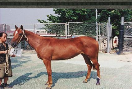 �ݱ��� ����