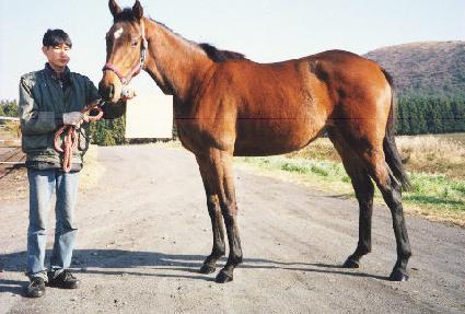 �����ǿ��� ����