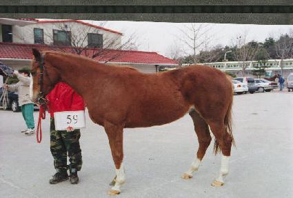 �츮���� ����