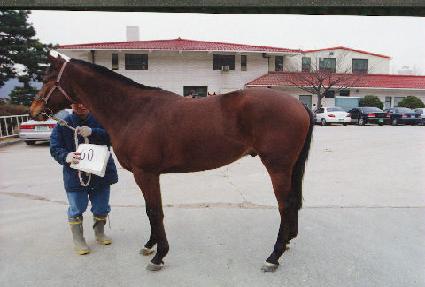 �η����� ����