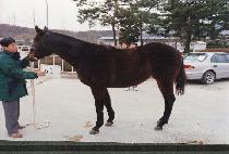 ����� (TAEJANGBU) ����