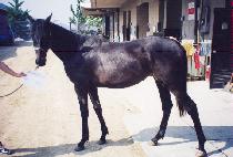 CHEULGEOUN PARTY picture