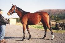 ���л� (SONGHAKSA) ����