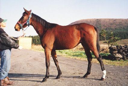 ���л� ����