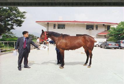 ������ȭ ����