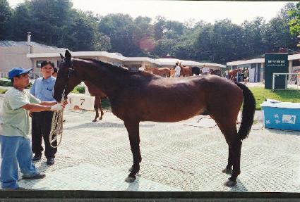 �ǰ���ô ����