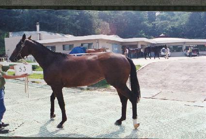 ��ǳ���� ����