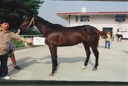 �ʸ��� ����