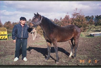 ���ϵ� ����